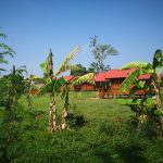 Bungalow in nature