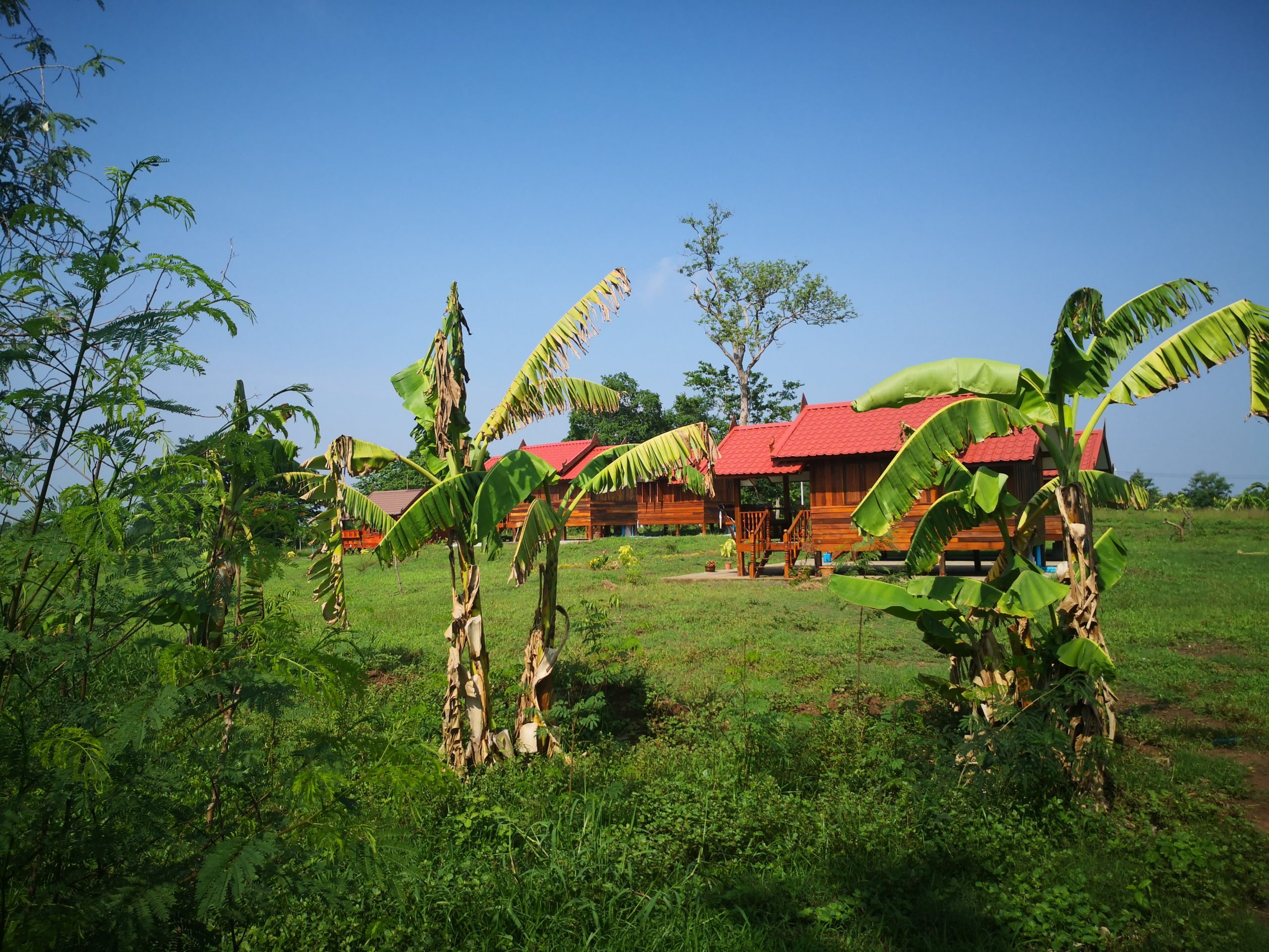 Bungalow in nature